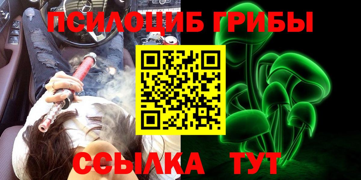 Галлюциногенные грибы Magic Shrooms  цена наркотик  Псилоцибиновые грибы Psilocybine cubensis  Новотроицк  Вход с VPN 